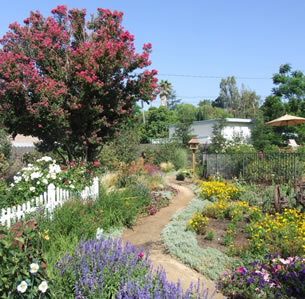 Color Showcase Garden